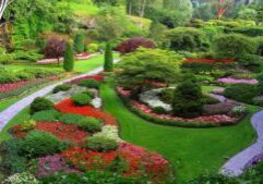 Landscape Design